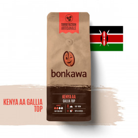 Bonkawa - Collection Afrique - Kenya AA Gallia Top